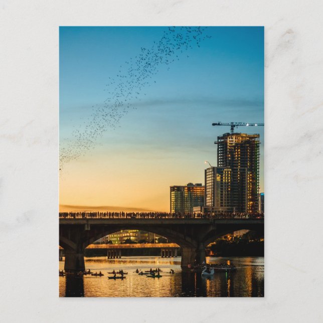 Congress Avenue Bridge Bat Watching Postcard (Front)