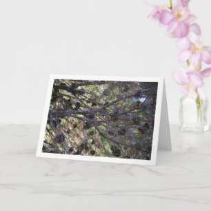 Conifer Cones on Pine Tree Card