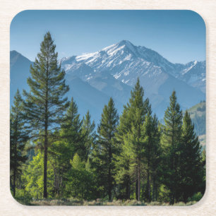 Coniferous Trees with Mountain Background Square Paper Coaster