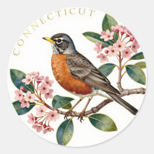 Connecticut American Robin State Bird Botanical Classic Round Sticker