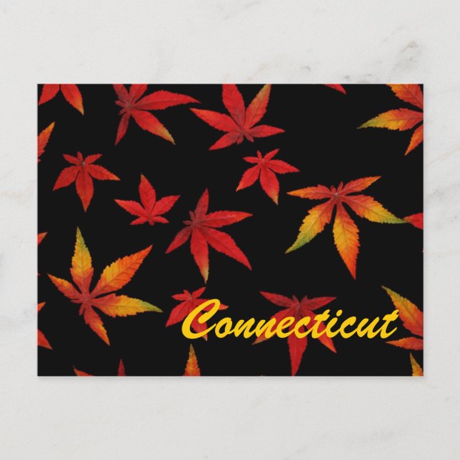 Connecticut Autumn Leaves Postcard (Front)