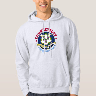 CONNECTICUT CONSTITUTION STATE FLAG HOODIE