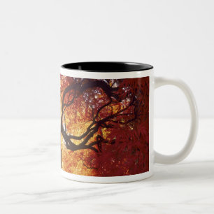 Connecticut: Darien, Japanese maple 'Acer Two-Tone Coffee Mug