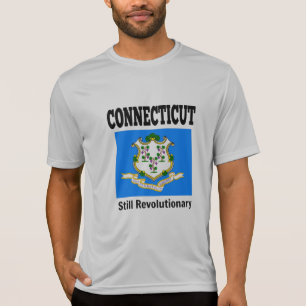 Connecticut flag and motto T-Shirt