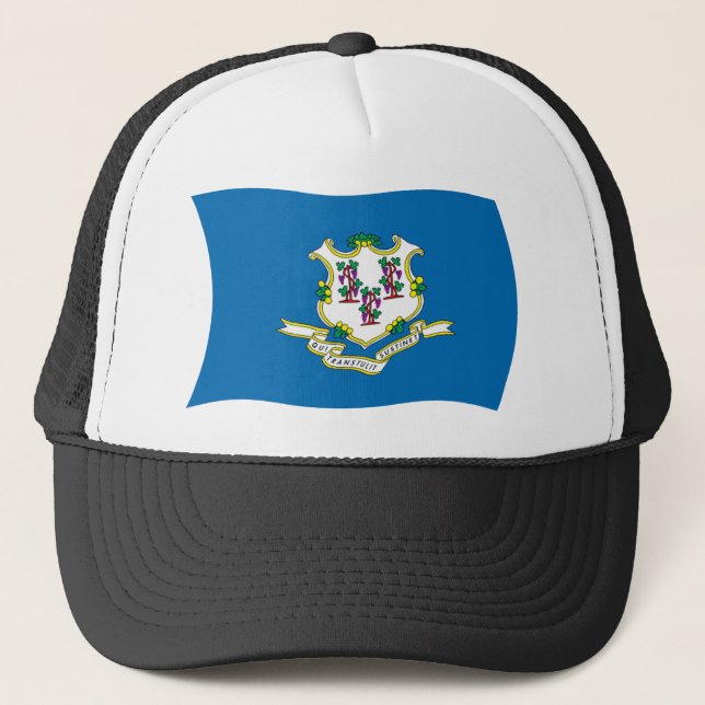 Connecticut Flag Hat (Front)
