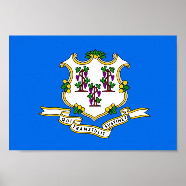 Connecticut Flag Poster (Front)