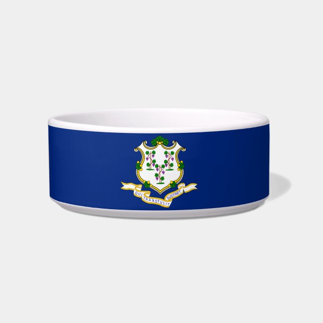 Connecticut flag-Seal Bowl (Front)