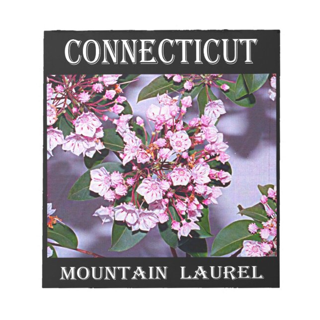 Connecticut Mountain Laurel Notepad (Front)