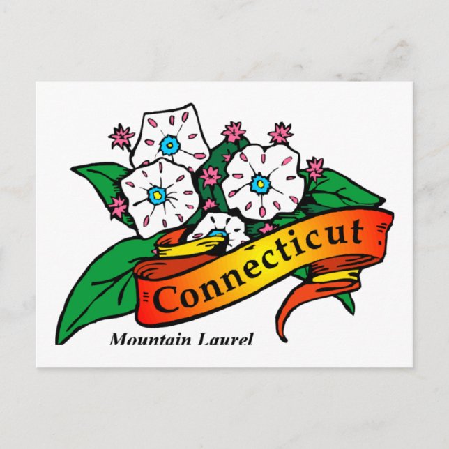 Connecticut Mountain Laurel Postcard (Front)