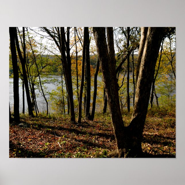 Connecticut River Poster (Front)