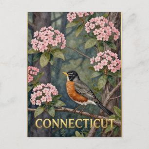 Connecticut State Bird & Mountain Laurel Nature Postcard