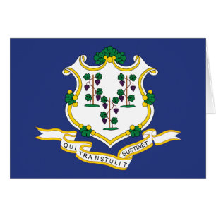 Connecticut State Flag