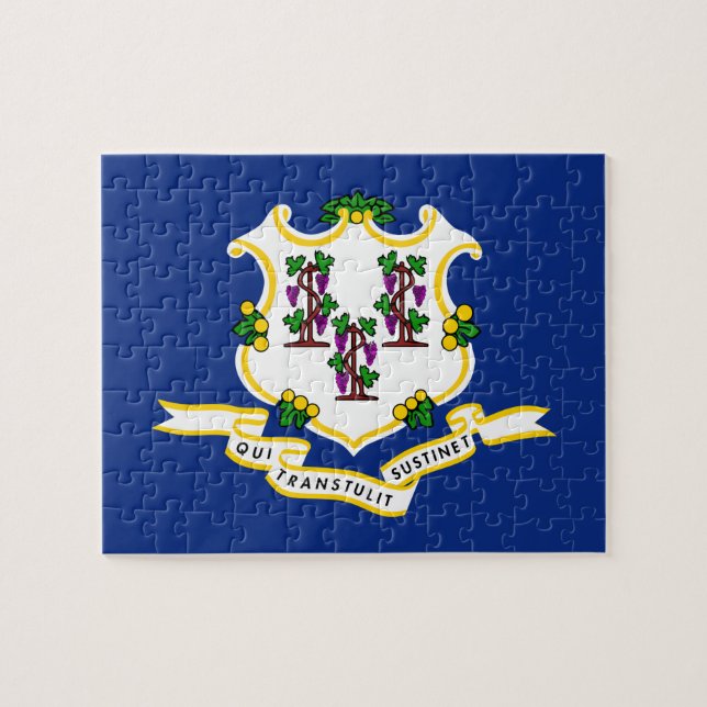Connecticut State Flag 8x10 Jigsaw Puzzle (Horizontal)