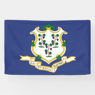 Connecticut State Flag Banner