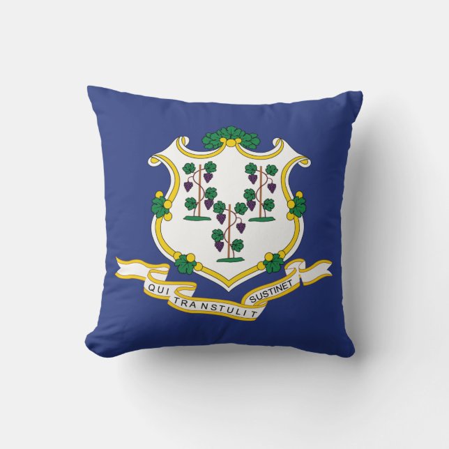 Connecticut State Flag Cushion (Front)