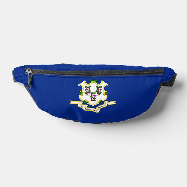 Connecticut State Flag Design Bum Bags (Lay Down)