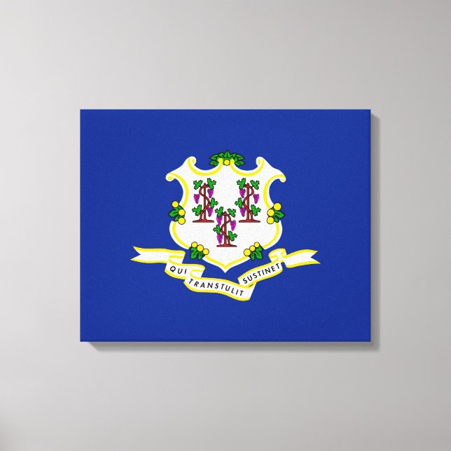 Connecticut State Flag Design Canvas Print (Front)
