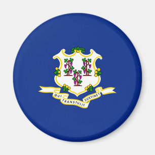 Connecticut State Flag Design Magnet