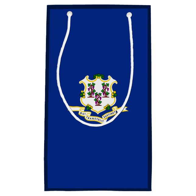 Connecticut State Flag Design Small Gift Bag (Front)