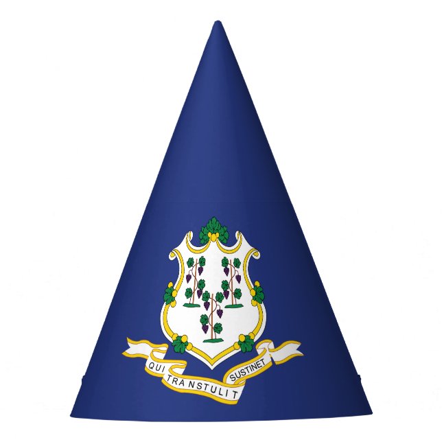 Connecticut State Flag Party Hat (Front)