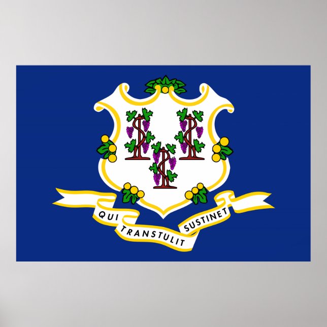 Connecticut State Flag Poster (Front)