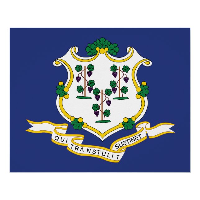 Connecticut State Flag Poster (Front)