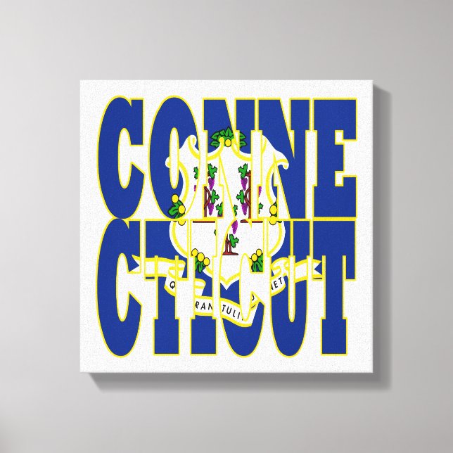 Connecticut state flag text canvas print (Front)