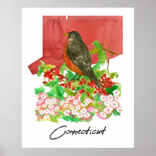 Connecticut State Robin Bird Red Watercolor  Poster