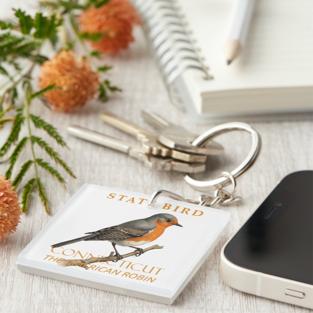 Connecticut Territory Bird The Turdus Migratorious Key Ring (Front Right)