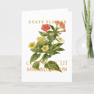 Connecticut Territory Flower Mirabilis jalapa Holiday Card