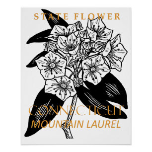 Connecticut Territory Flower Mountain Laurel Poster