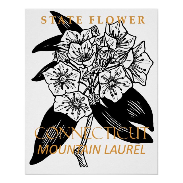 Connecticut Territory Flower Mountain Laurel Poster (Front)