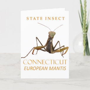 Connecticut Territory Insect The European Mantis Holiday Card