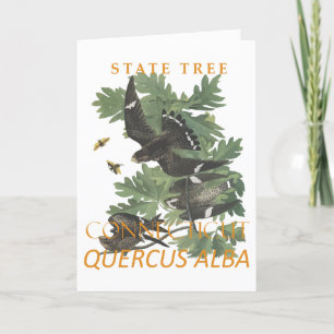 Connecticut Territory Tree The Charter Oak Holiday Card