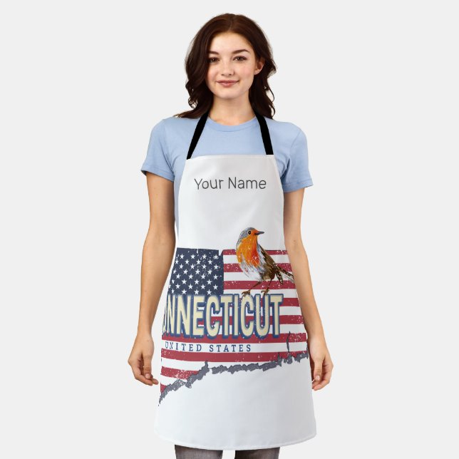 Connecticut united states retro state map vintage apron (Worn)