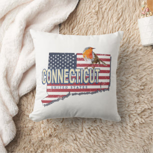 Connecticut united states retro state map vintage cushion