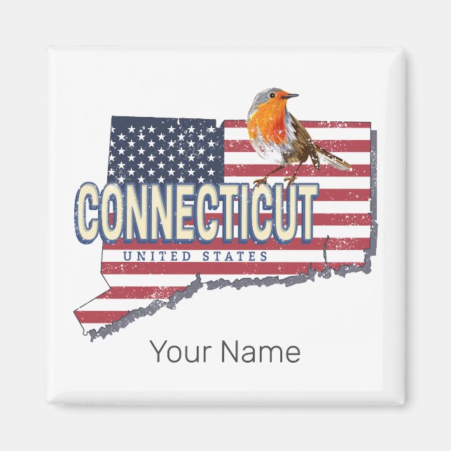 Connecticut united states retro state map vintage magnet (Front)