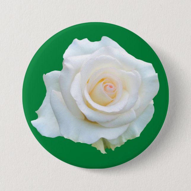 Connecticut Witch Trial Memorial Button (Front)