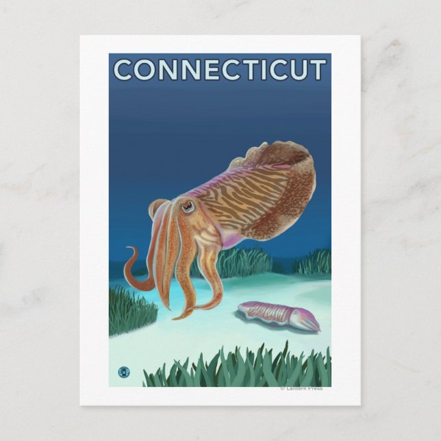 ConnecticutCuttlefish Scene Postcard (Front)
