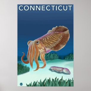 ConnecticutCuttlefish Scene Poster