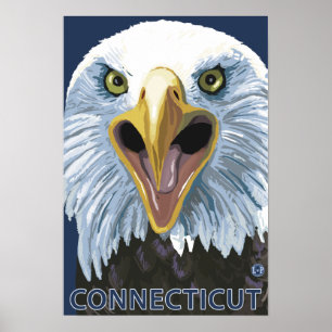 ConnecticutEagle Up Close Poster