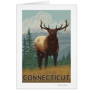 ConnecticutElk Scene