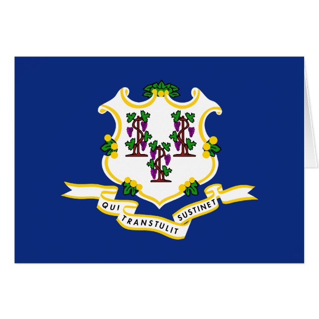 Connecticut's Flag (Front Horizontal)