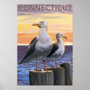 ConnecticutSea Gulls Scene Poster