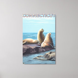 ConnecticutSea Lions Scene Canvas Print