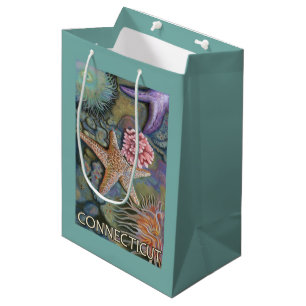 ConnecticutTidepool Scene Medium Gift Bag