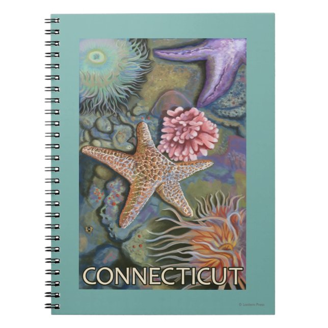 ConnecticutTidepool Scene Spiral Notebook (Front)