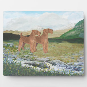 Connemara Countryside Plaque