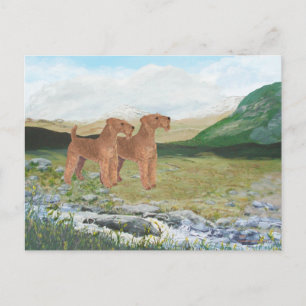 Connemara Countryside Postcard