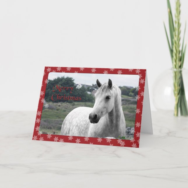 Connemara Pony Christmas Card (Front)